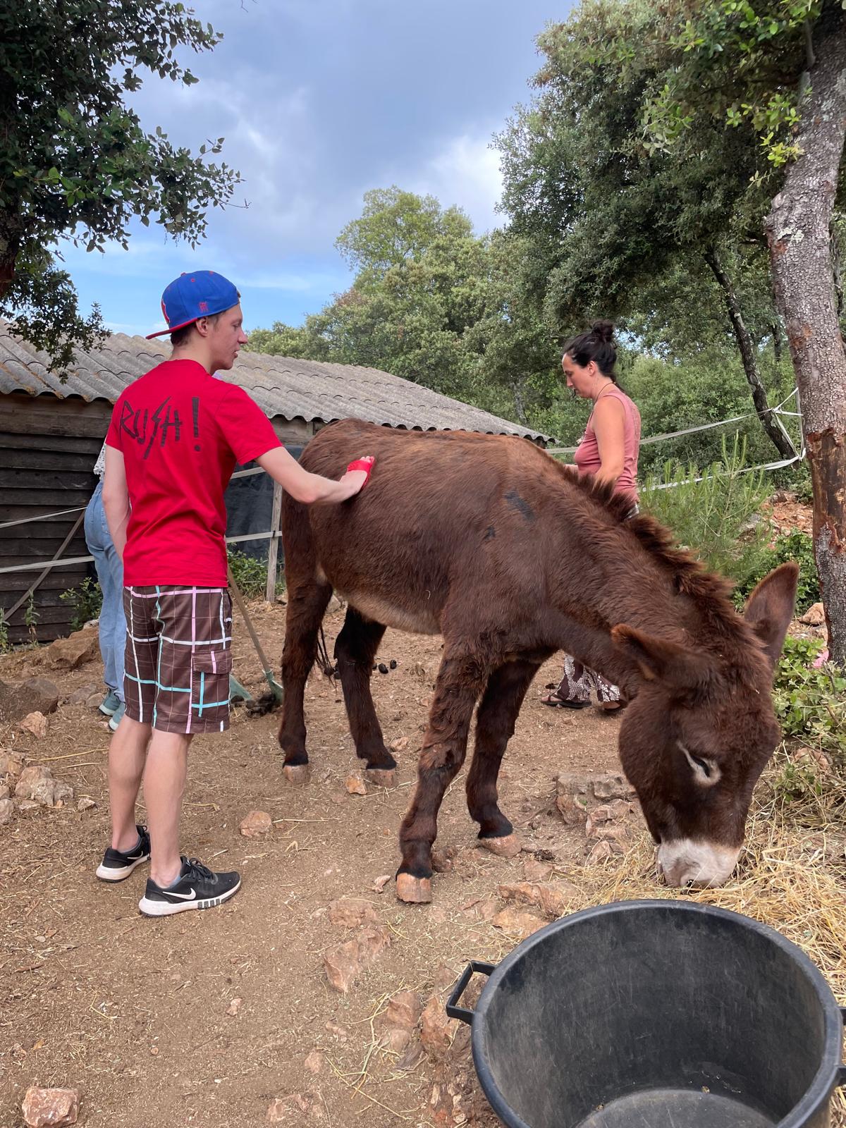 Aquaponie en Sol Mineur
