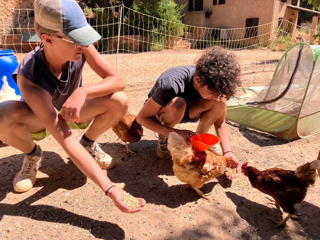 Aquaponie en Sol Mineur